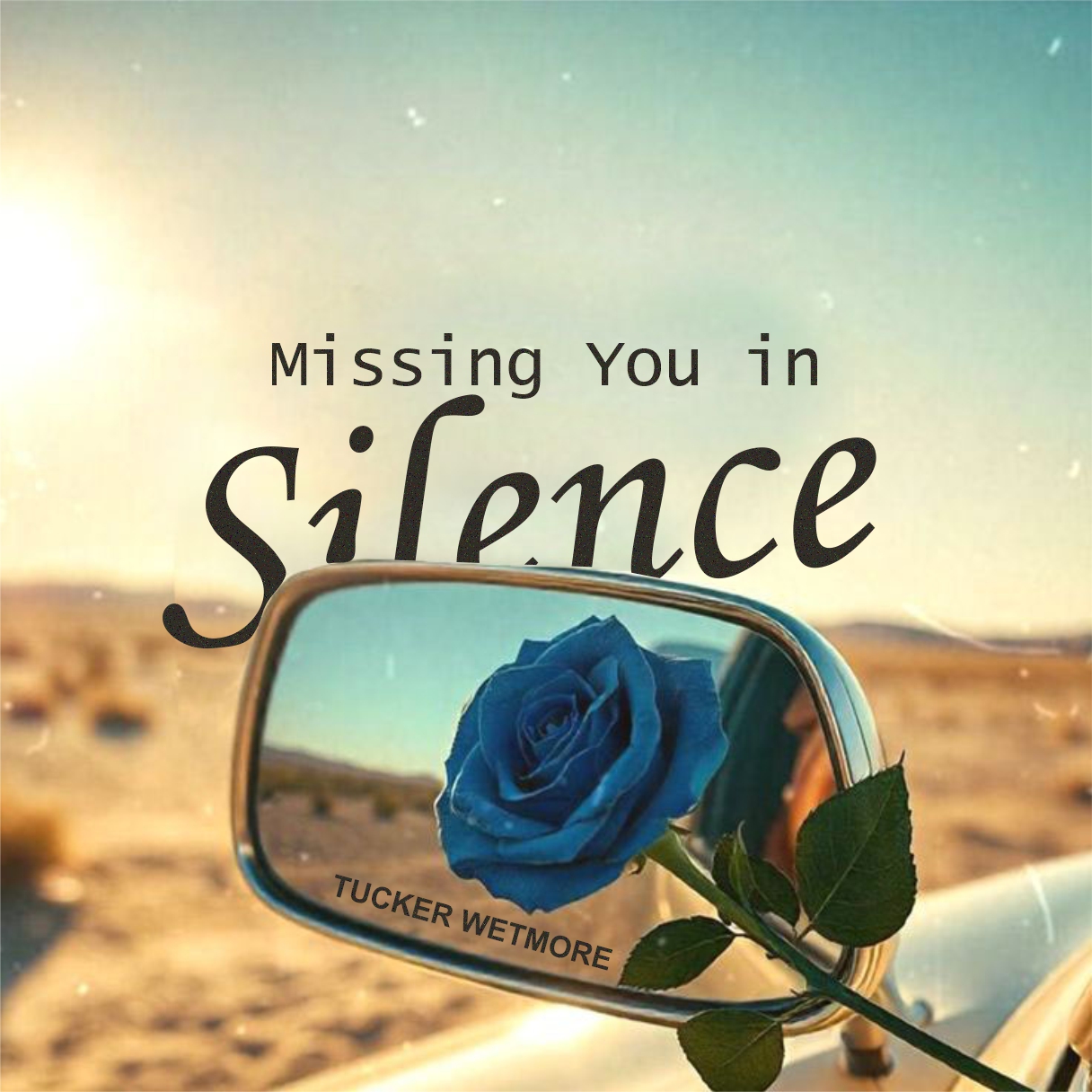 Missing You In Silence